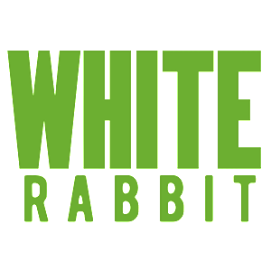  White Rabbit