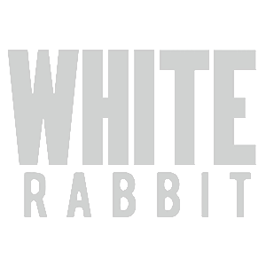  White Rabbit