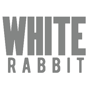  White Rabbit