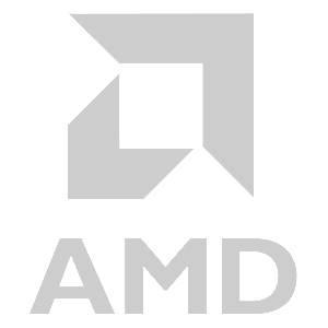  AMD