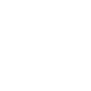  Performance Part