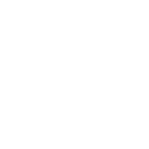      Geely Auto () -   50 .