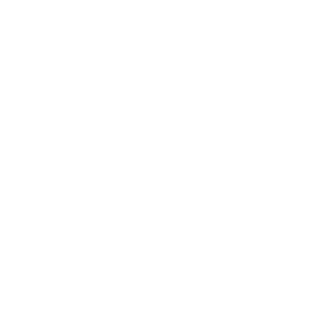  Volkswagen Victory
