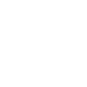      Volkswagen Victory -   65 .
