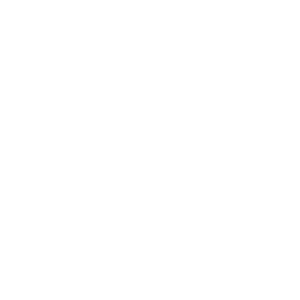      AI (artificial intelligence) -   67 .