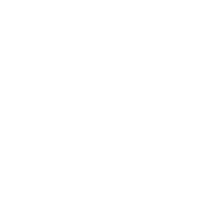      AI (artificial intelligence) -   16 .