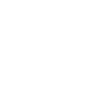      AI (artificial intelligence) -   67 .