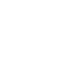      AI ( ) -   67 .