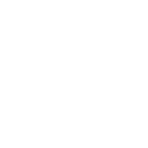     Li Auto -   8 .