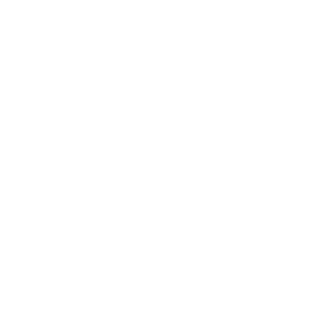      VIP -   15 .