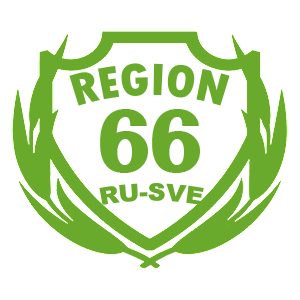  66 