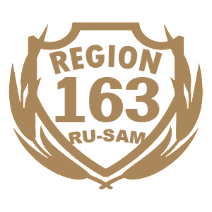  163 