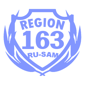  163 