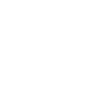      763  -   94 .