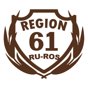  61 