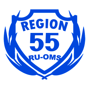  55 