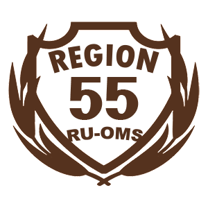  55 