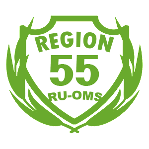  55 