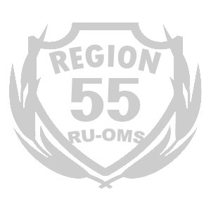  55 