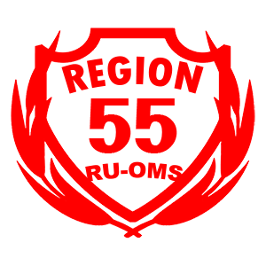  55 