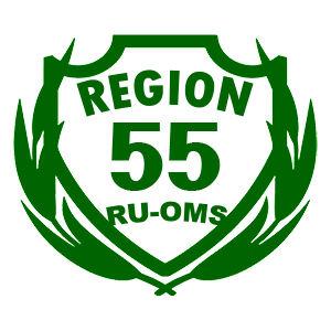  55 