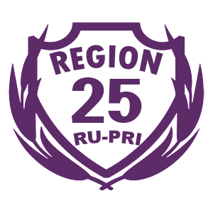  25 