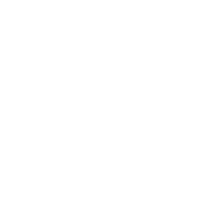      21  -   94 .