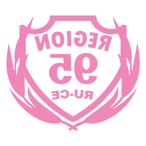      95  -   94 .
