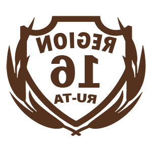      16  -   94 .