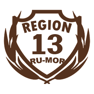  13 