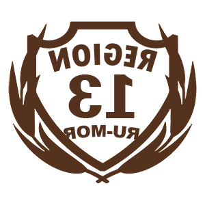      13  -   94 .