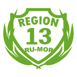  13 