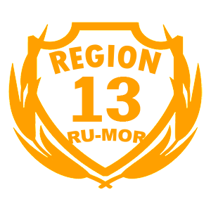  13 