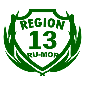  13 