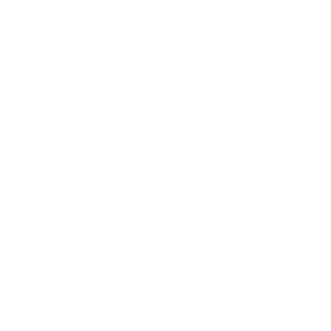      09  -   94 .