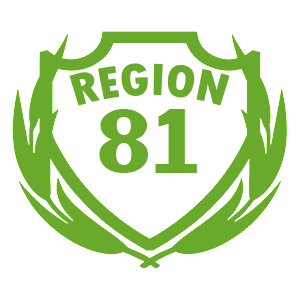  81 