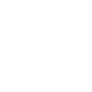      81  -   94 .