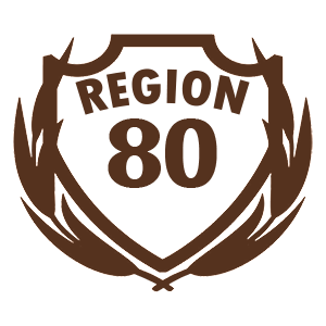  80 