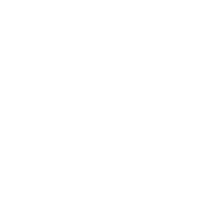      06  -   94 .