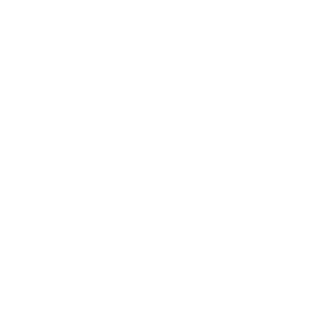   (Taurus)