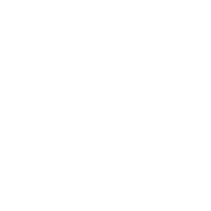  Hiphi