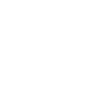  Tank 300