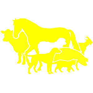          -   116 .
