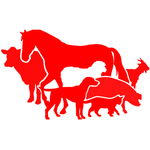          -   116 .