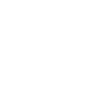          -   93 .