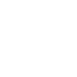  Red Alert 2 -  