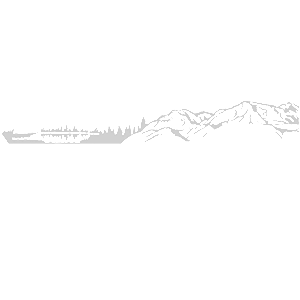    -   -   540 .