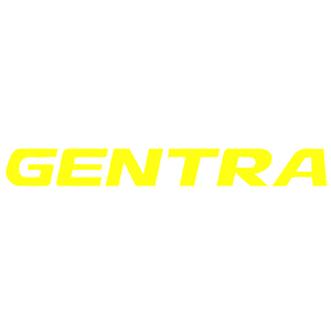  Daewoo Gentra