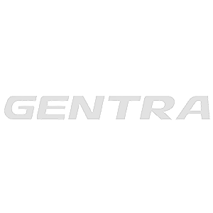  Daewoo Gentra