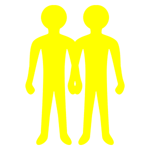   (Twins)